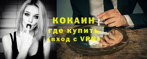 сатива Гусев