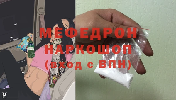 индика Гусиноозёрск