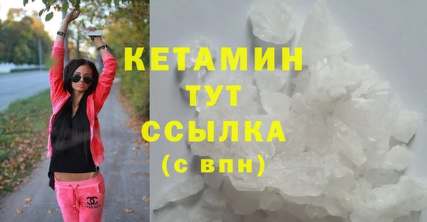 сатива Гусев