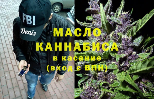 индика Гусиноозёрск