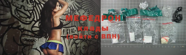 индика Гусиноозёрск
