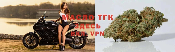 сатива Гусев