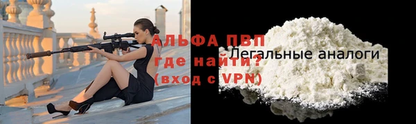 амф Гусь-Хрустальный