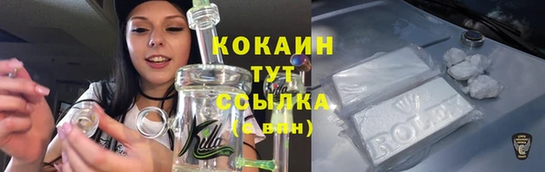 сатива Гусев