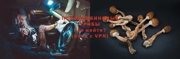 сатива Гусев