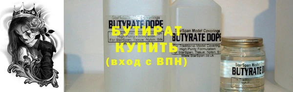 амф Гусь-Хрустальный