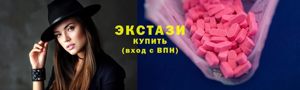 индика Гусиноозёрск