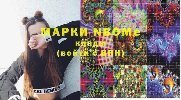 индика Гусиноозёрск