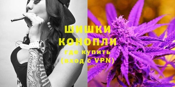 амф Гусь-Хрустальный