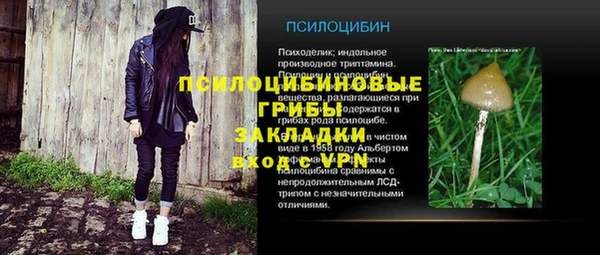 амф Гусь-Хрустальный