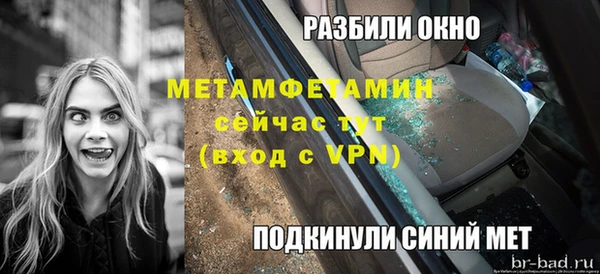 амф Гусь-Хрустальный