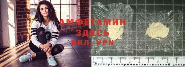 индика Гусиноозёрск
