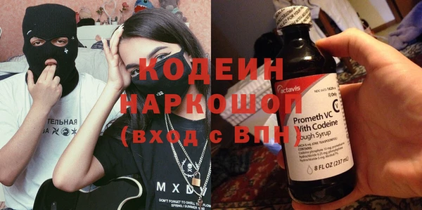 амф Гусь-Хрустальный