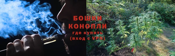 индика Гусиноозёрск