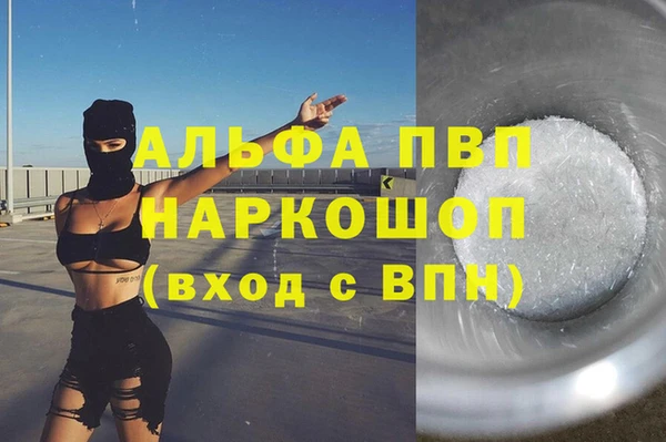 индика Гусиноозёрск