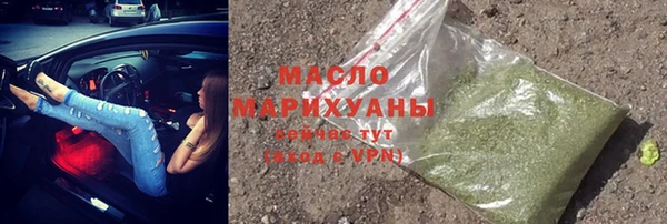 амф Гусь-Хрустальный
