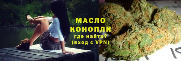 амф Гусь-Хрустальный