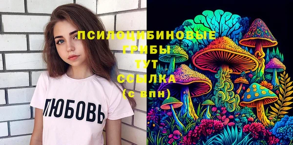индика Гусиноозёрск