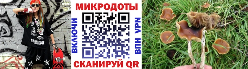 Псилоцибиновые грибы Magic Shrooms  Купить  Шахты 